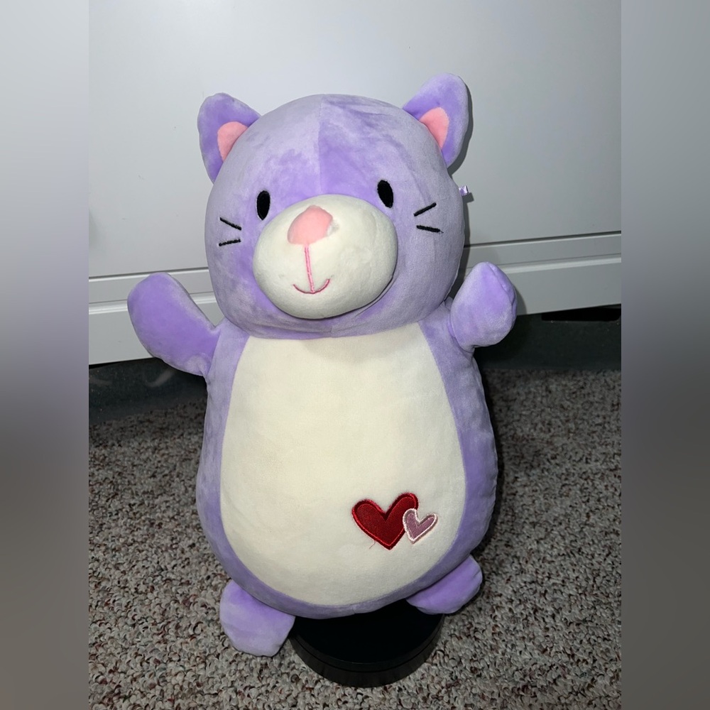 Squishmallows HugMees 14” Frank the cat